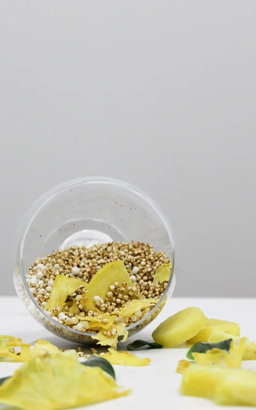 cereal-instantaneo-con-manzanas-6